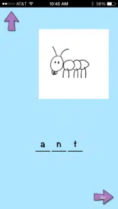 blue ant