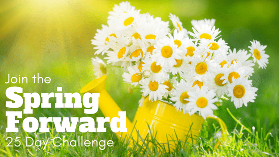 daisies in flower can spring forward challenge