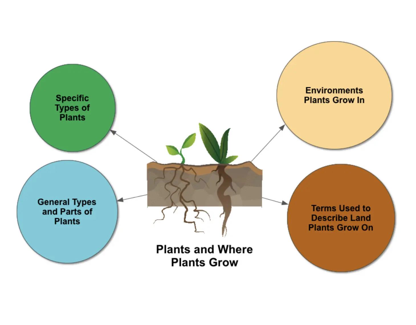 Plants and where plants grow