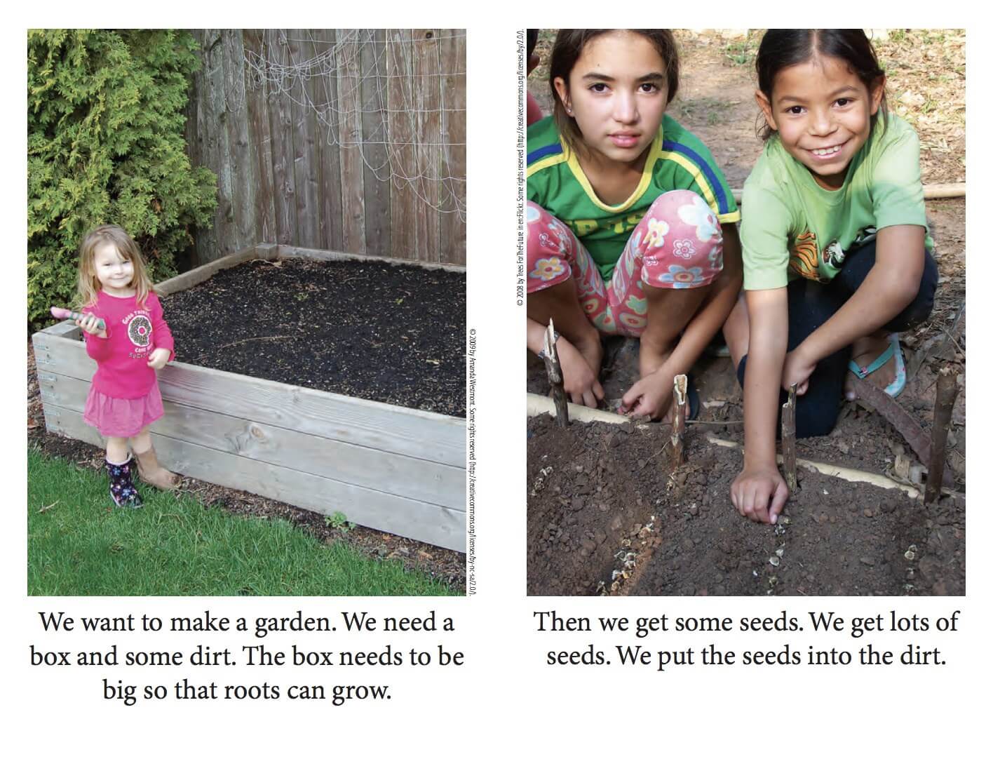seeds and plants example seeds and plants example