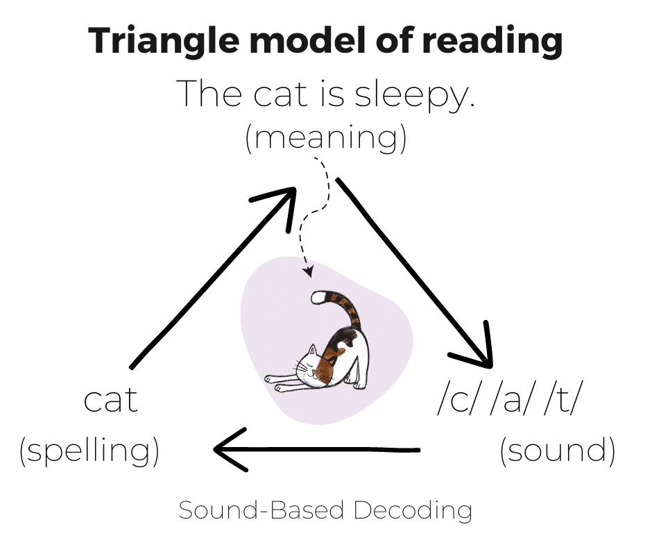 Triangle Model of Reading