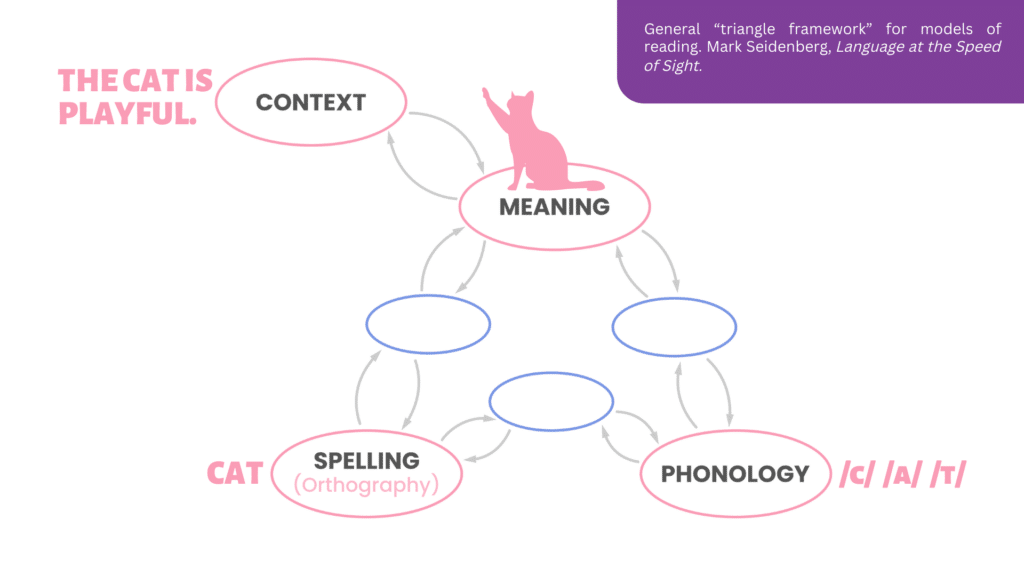 Seidenberg's "Triangle framework" model of reading
