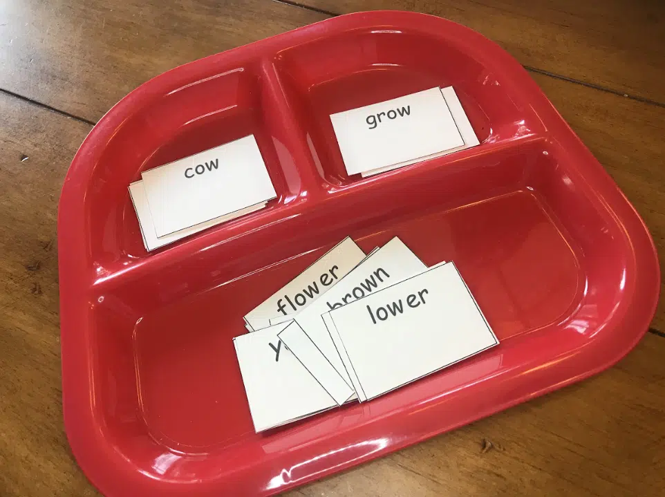 Bowl with sorted cards of "ow" digraph in the dividers