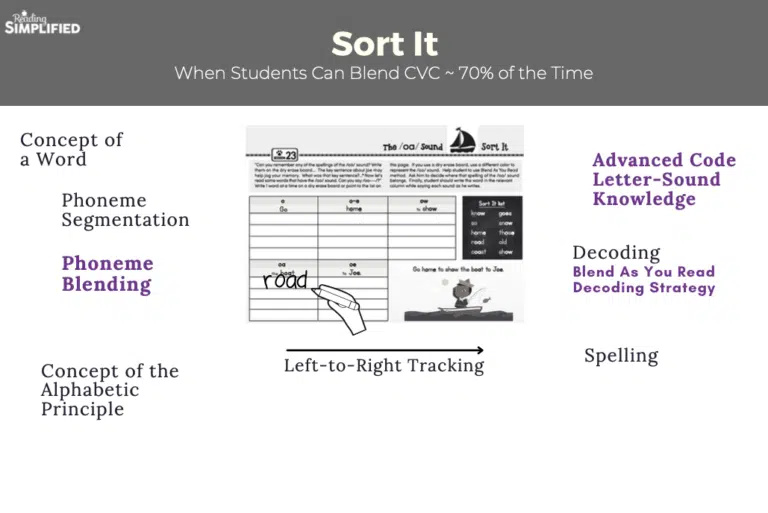 Image of Sort It page is centered with many subskills of learning that this one activity integrates around the perimeter.