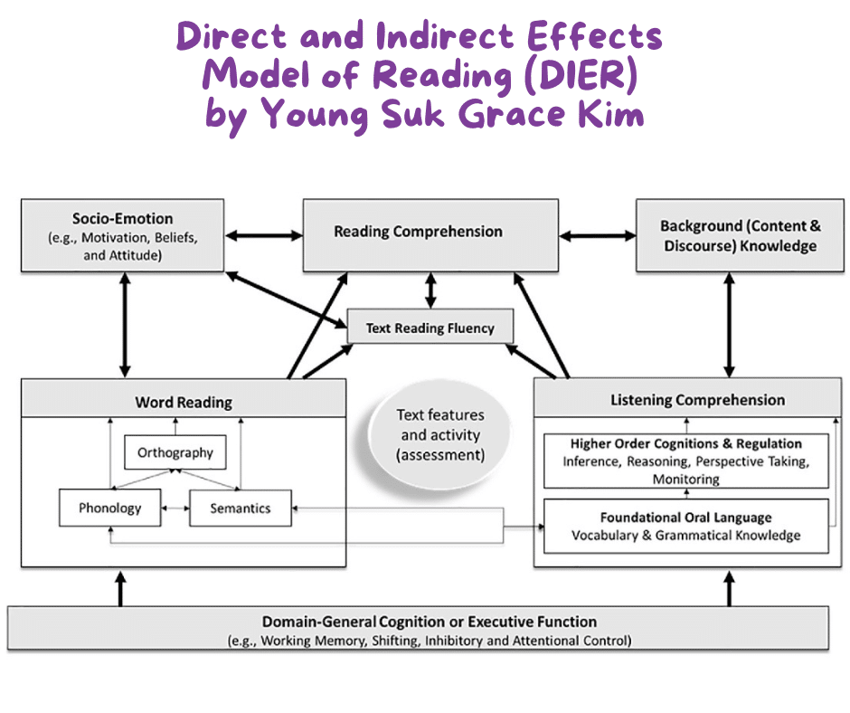 Direct and Indirect Effects Reading Model
