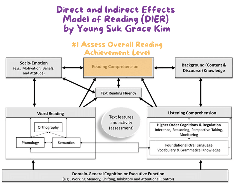 Direct and Indirect Effects Reading Model - reading comprehension highlighted