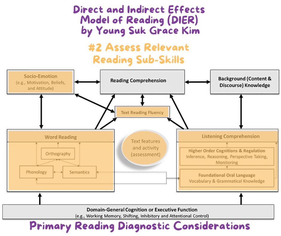 Direct and Indirect Effects Reading Model-primary reading sub-skills highlighted