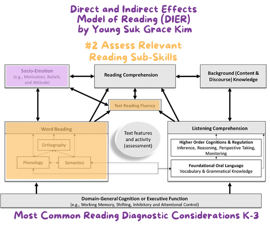Direct and Indirect Effects Reading Model-Word Reading highlighted
