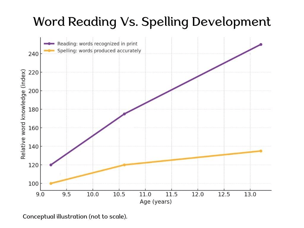 Word Reading Development Vs. Spelling line graph
